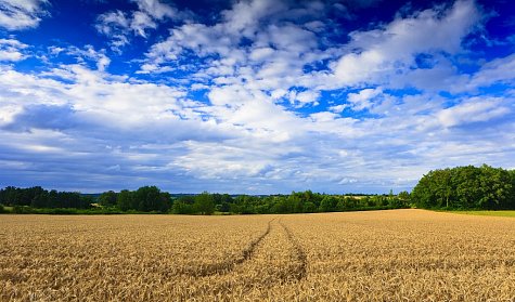 В регионах появятся новые механизмы регулирования сельхозземель